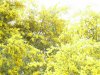 IMG_1557.JPG