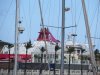 IMG_1667.JPG