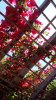 20150529_112832.jpg