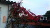 IMG-20150524-WA0011.jpeg