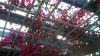 IMG-20150524-WA0015.jpeg