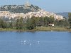 IMG_0065.JPG