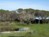 DSCN1275.JPG