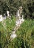 20170314_185122.jpg
