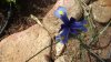 20170323_145042.jpg