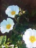 20170319_081814.jpg