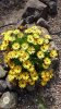 20170323_144937.jpg