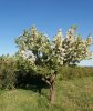 20170320_200944.jpg