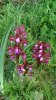 IMG-20170322-WA0016.jpg