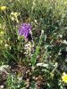 20170326_175419_resized.jpg