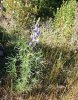 20170326_190348.jpg