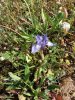 20170331_162027_resized.jpg