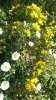 20170331_150036.jpg