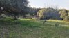 IMG_20170404_181651.jpg