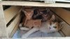 IMG-20170522-WA0000.jpg