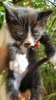 IMG-20170522-WA0001.jpg