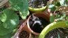 IMG-20170522-WA0002.jpg