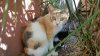 IMG-20170522-WA0004.jpg