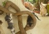 IMG-20170611-WA0002.jpg IMG-20170611-WA0002.jpg