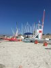 IMG_8390.JPG