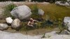 WP_20170621_13_40_02_Pro.jpg