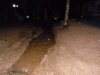DSCN9387.JPG