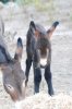 DSC_1951k.jpg