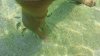 upload_2017-10-9_9-45-22.jpeg upload_2017-10-9_9-45-22.jpeg