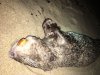 IMG-20171019-WA0008.jpg