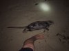 IMG-20171019-WA0006.jpg IMG-20171019-WA0006.jpg