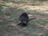 DSCN5179.JPG DSCN5179.JPG