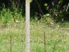 P1370827 - Kopie.JPG