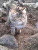 20171119_163231_resized.jpg