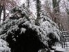 IMG_8176.JPG