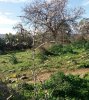 20180122_124109.jpg 20180122_124109.jpg