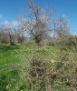 20180122_124010.jpg 20180122_124010.jpg