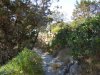 DSCN3414.JPG DSCN3414.JPG
