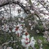 20180209_165400.jpg