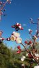 20180224_163856.jpg