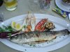 DSC03153.JPG