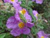 DSC01369.JPG