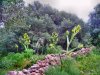 Sardinien   (37).jpg