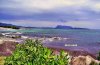 Sardinien   (105).jpg