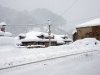 DSCN5440.JPG