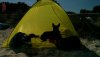 IMG_20171012_122955.jpg IMG_20171012_122955.jpg