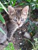 Handyfotos 2018 1216.jpg