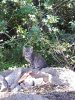 Handyfotos 2018 1184.jpg