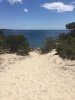 IMG-20180613-WA0061.jpg IMG-20180613-WA0061.jpg