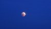 Mondfinsternis 2018-07-27, 04kl.jpg Mondfinsternis 2018-07-27, 04kl.jpg