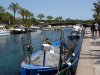 DSC00331.jpg